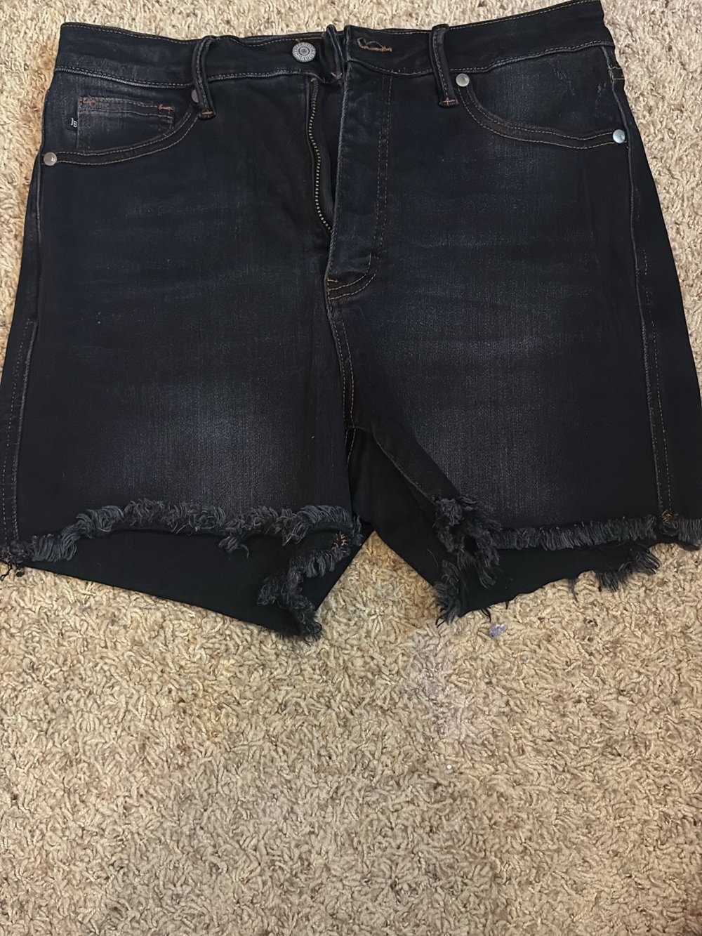 Judy Blue Black Frayed Hem High-Rise Denim Shorts